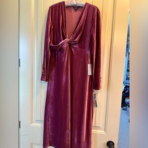 Maggy London NWT size 12 velvet fushia dress